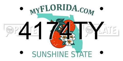 4174TY Florida License Plate