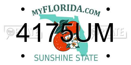4175UM Florida License Plate