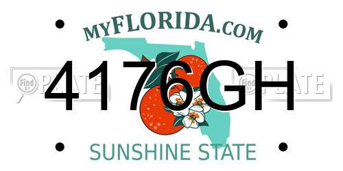4176GH Florida License Plate