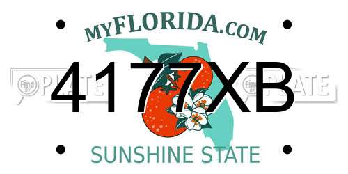 4177XB Florida License Plate