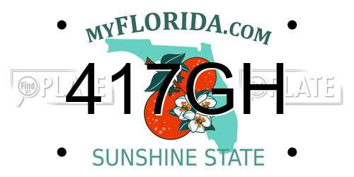 417GH Florida License Plate