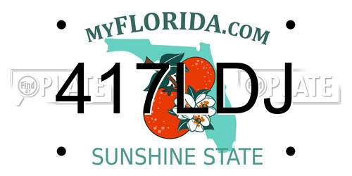 417LDJ Florida License Plate