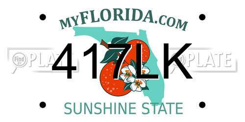 417LK Florida License Plate
