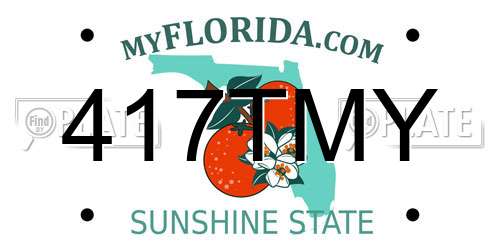 417TMY Florida License Plate