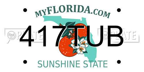 417TUB Florida License Plate