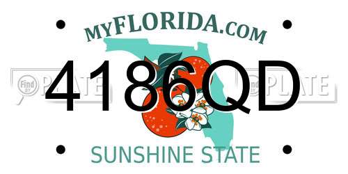 4186QD Florida License Plate