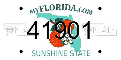 41901 Florida License Plate