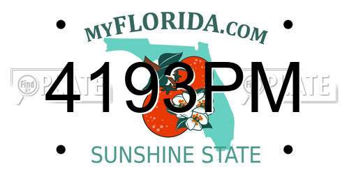 4193PM Florida License Plate