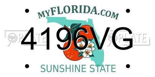 4196VG Florida License Plate