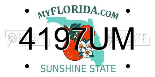 4197UM Florida License Plate