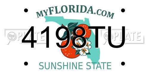 4198TU Florida License Plate