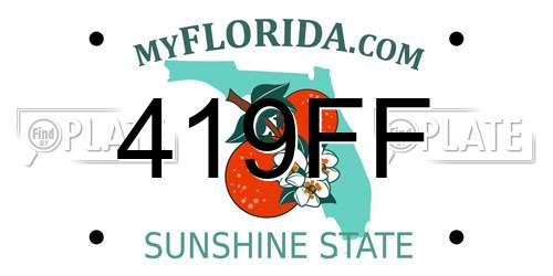 419FF Florida License Plate