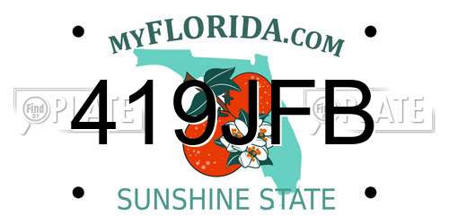 419JFB Florida License Plate