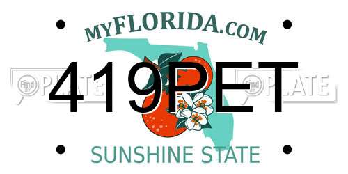 419PET Florida License Plate