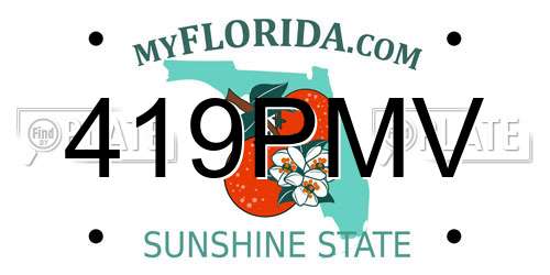 419PMV Florida License Plate