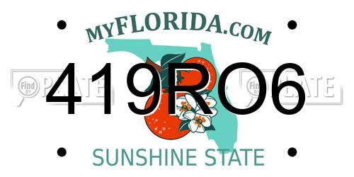 419RO6 Florida License Plate