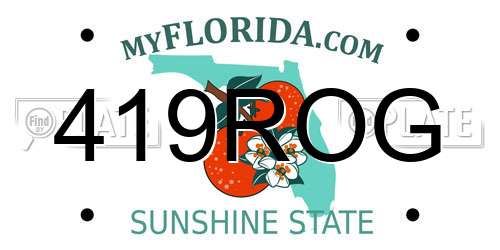419ROG Florida License Plate