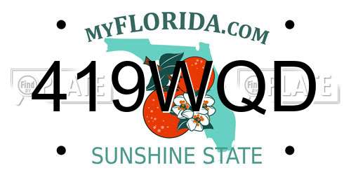 419WQD Florida License Plate