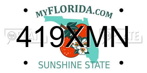 419XMN Florida License Plate