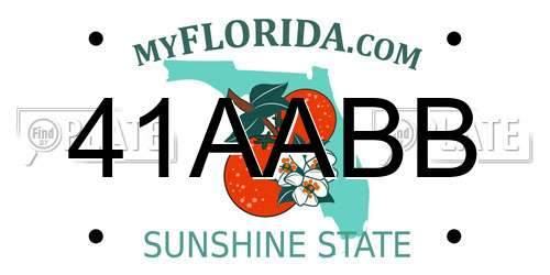 41AABB Florida License Plate