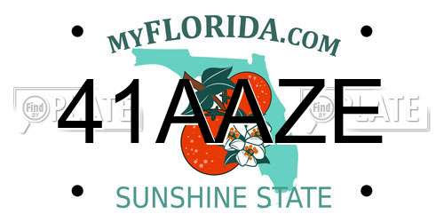 41AAZE Florida License Plate