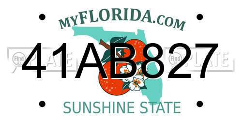 41AB827 Florida License Plate