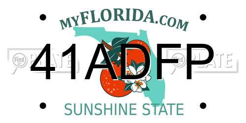 41ADFP Florida License Plate