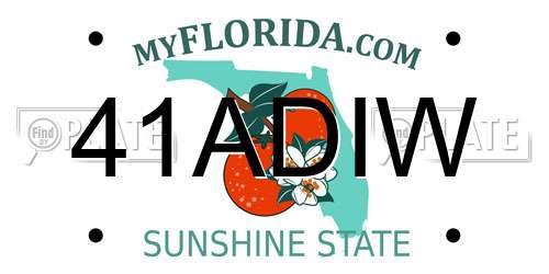 41ADIW Florida License Plate