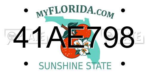 41AE798 Florida License Plate