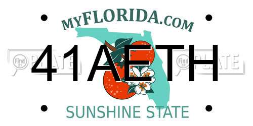 41AETH Florida License Plate
