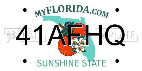 41AFHQ Florida License Plate