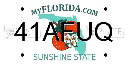 41AFUQ Florida License Plate