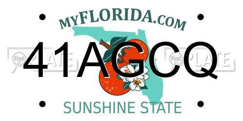 41AGCQ Florida License Plate