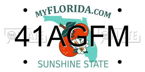 41AGFM Florida License Plate