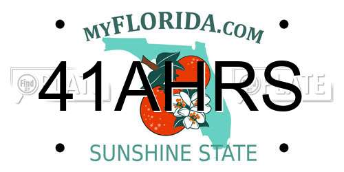 41AHRS Florida License Plate