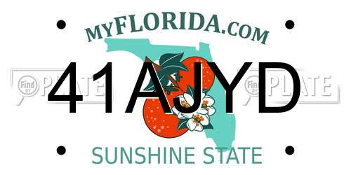 41AJYD Florida License Plate