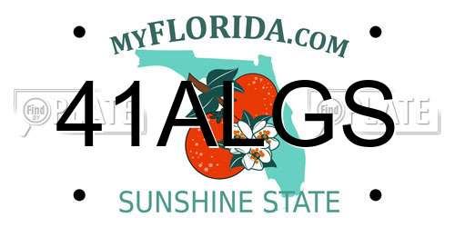 41ALGS Florida License Plate