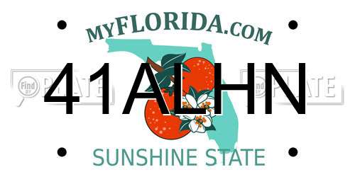 41ALHN Florida License Plate
