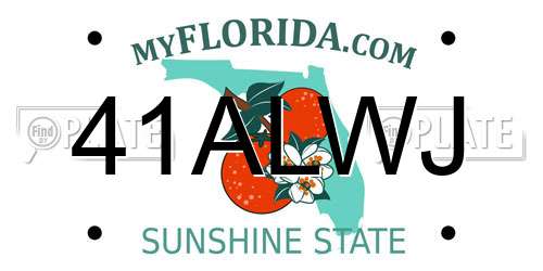 41ALWJ Florida License Plate