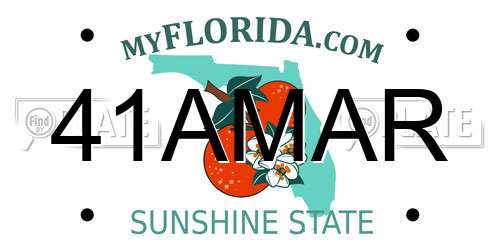 41AMAR Florida License Plate