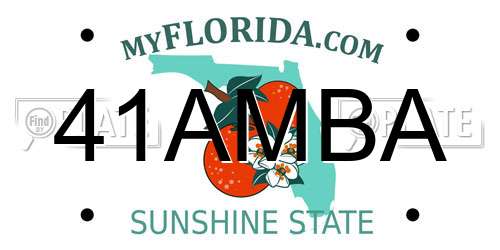 41AMBA Florida License Plate