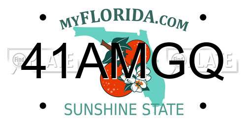 41AMGQ Florida License Plate
