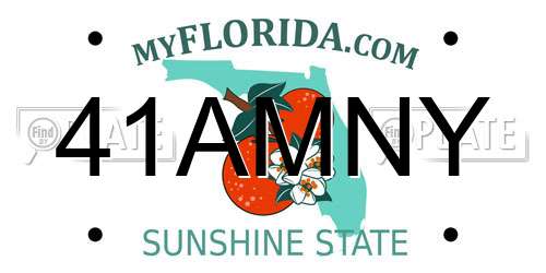 41AMNY Florida License Plate