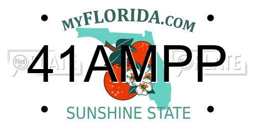 41AMPP Florida License Plate