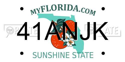 41ANJK Florida License Plate