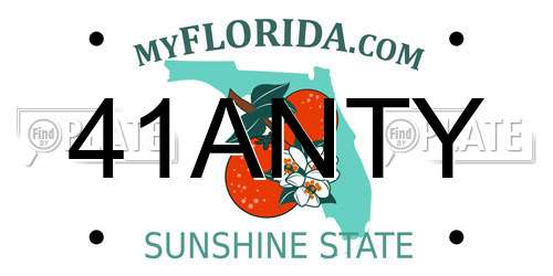 41ANTY Florida License Plate