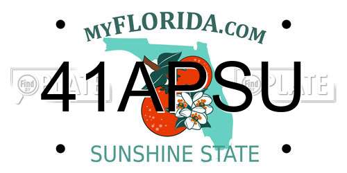 41APSU Florida License Plate