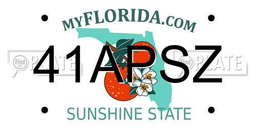 41APSZ Florida License Plate