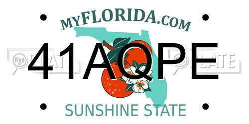 41AQPE Florida License Plate