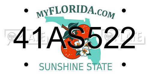 41AS522 Florida License Plate